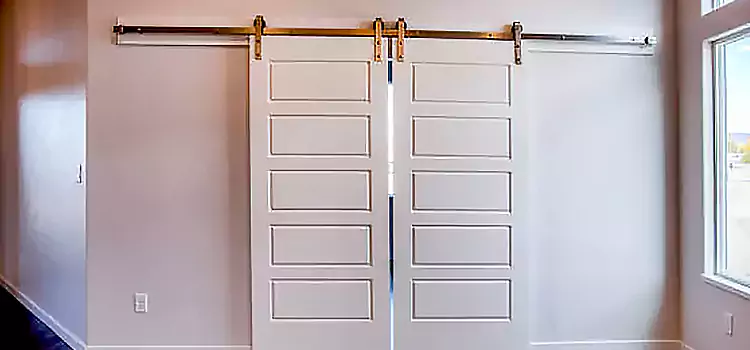 Glass Barn Door with Installation Hardware Kit Medford